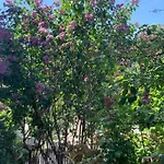 Florl Апартаменты